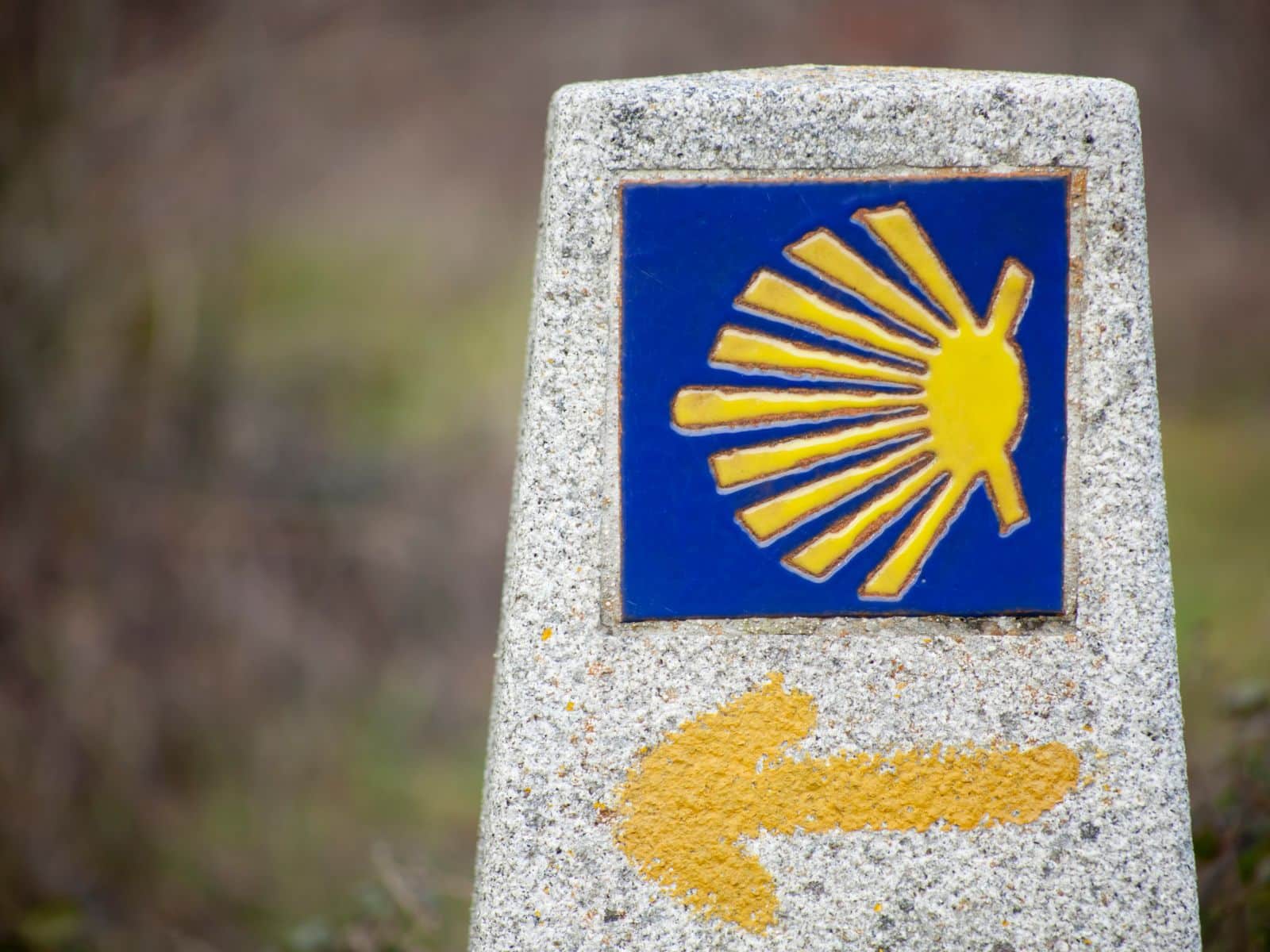 Pellegrinaggio sul cammino per Santiago de Compostela